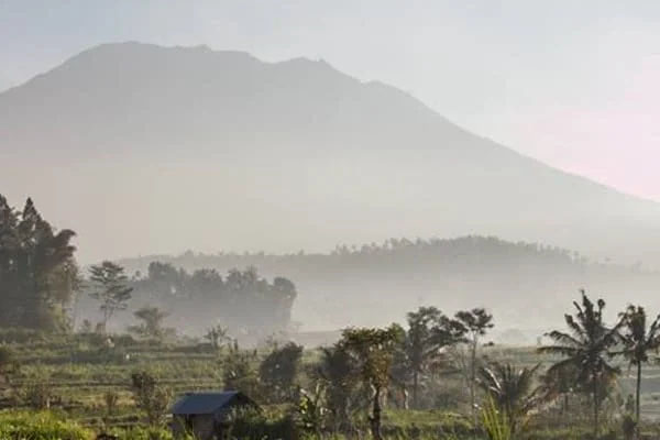 Ashram – How to Visit