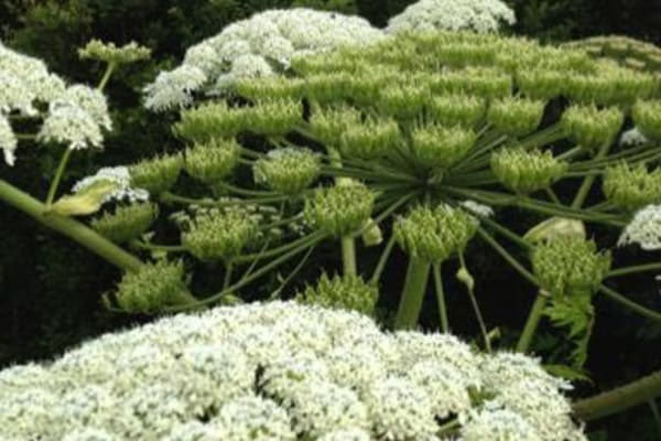 Deutschland / Germany