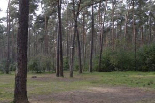 Herentals Shake Days