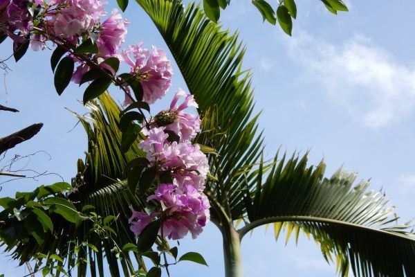 International Shaking Agenda